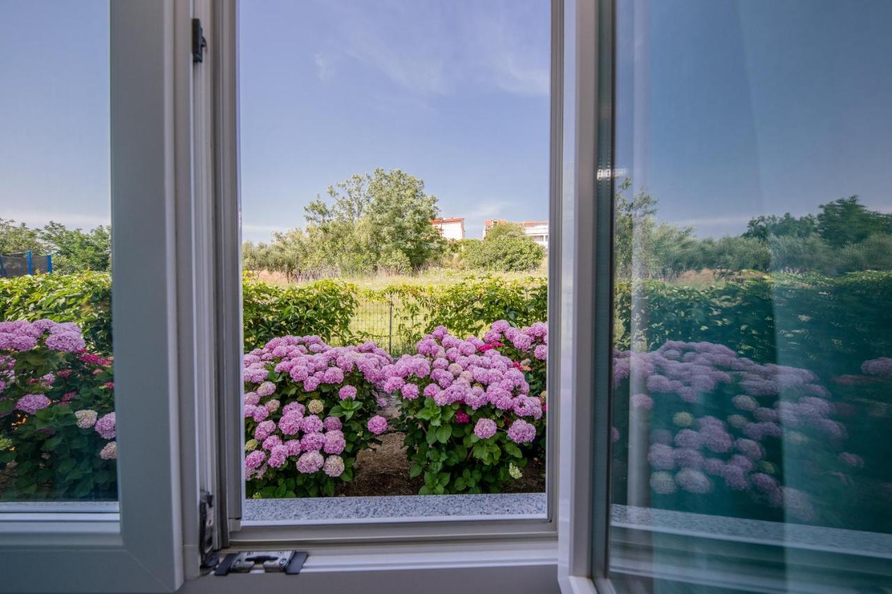Zeljko Apartmani Lopar Exteriör bild